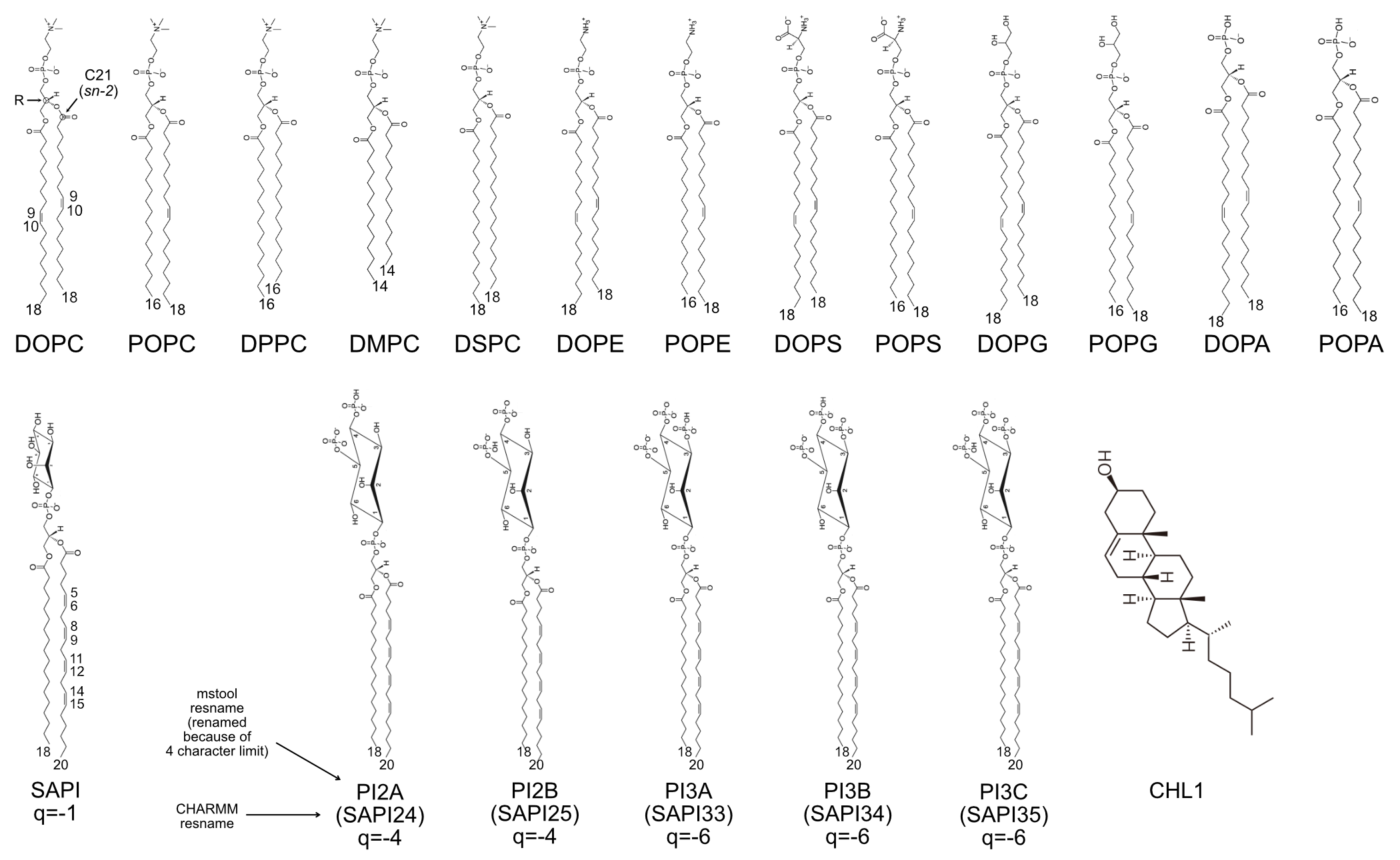 _images/lipids.png